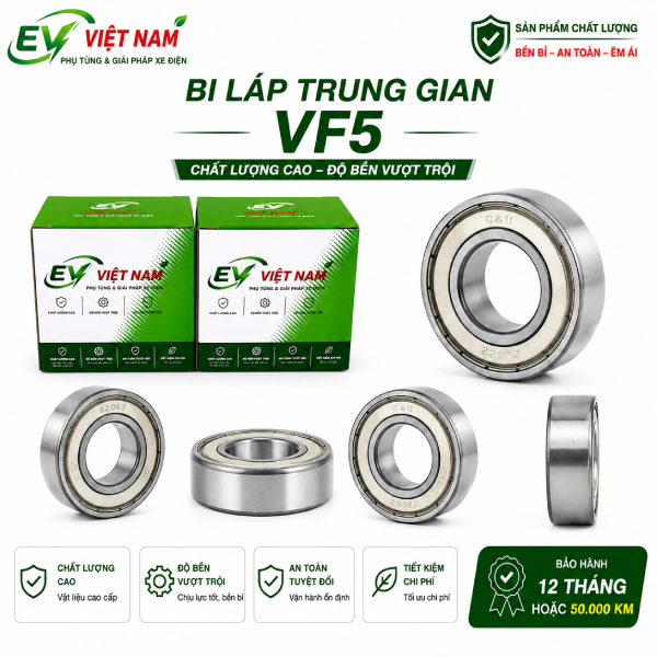 Bi láp trung gian VF5